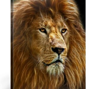 PICANOVA Digital Art Lion 75x100cm - Premium Leinwanddruck für Wohn- und Schlafzimmer - Modernes Kunstmasterpeice Auf 2c