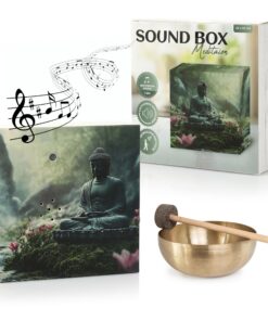 Nordstern Sound Box meditativer Klänge für Entspannung und Ruhe - Musikbox mit Bewegungssensor und Lautstärkeregler - 12