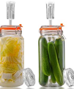 2L Fermentierglas mit Gärventi & Gewicht für Sauerkraut, Kimchi, Kombucha (2er-Pack)