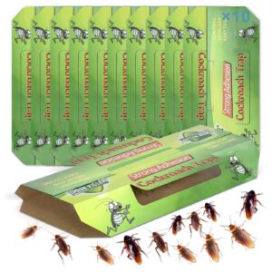 Schabenfalle 10 Stück - Ungiftige Monitoring-Falle - Küche und Speicherungen - Kakerlaken-Klebefalle - 10, Grün