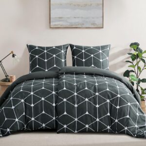 RUIKASI 135x200 Bettbezüge Anthrazit - Weich und Bügelfrei - Ideal für sensible Haut - Reißverschluss - OEKO-TEX Standar
