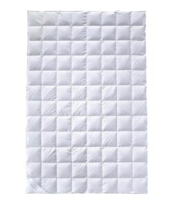 Billerbeck Bettdecke Bali Superlight – Sommerdecke – 135 x 200 cm – leichte Daunendecke – 90 % Daune, 10 % Federn – Somm