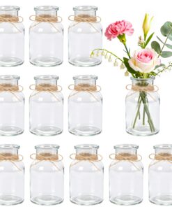 BTSD-home 12 Stück Kleine Glasvasen 125ml - Ideal für Hochzeitsdeko & Tischdeko