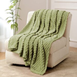 FY FIBER HOUSE Salbeigrüne Kuscheldecken, extra weiche Mikrofaser Flausch, leicht und gemütlich für Büro, Sessel und Cam