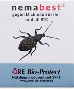 Nemabest® cool HB+SF Nematoden zur Bekämpfung des Dickmaulrüsslers - Effektiv gegen Dickmaulrüssler - 6 Mio. für 12m²