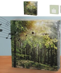 Soundbox 'Wald' Bewegungssensor | Regulierbare Vogelgezwitscher-Lautstärke | Ideal fürzimmerinterneEntspannung (1 x Soun