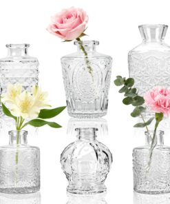 BTSD-home 6 Stück Mini Vasen Set - Elegantes Design für Blumen, Robust für Hochzeitsdeko & Tischdeko