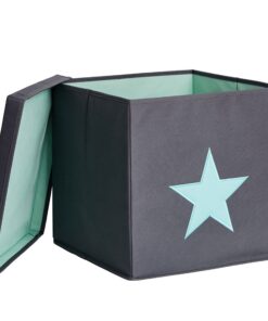 LOVE IT STORE IT Aufbewahrungsbox mit Deckel - Belastbar für deinen Wohnraum - 33x33x33 cm - Grau mit grünem Stern | LO
