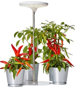 Northpoint LED Pflanzenleuchte für Gardenspezies mit Teleskopstab und Standfuß | Northpoint 14W LED Pflanzenlampe 4000K